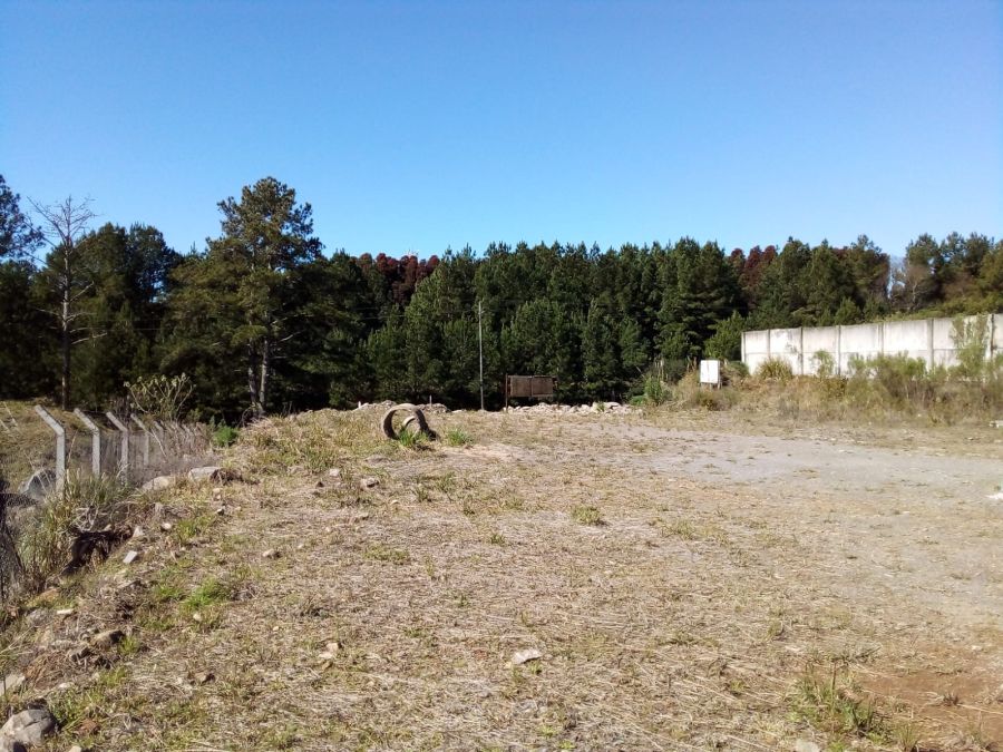 Terreno - Aluguel - Distrito Industrial - Canela - RS